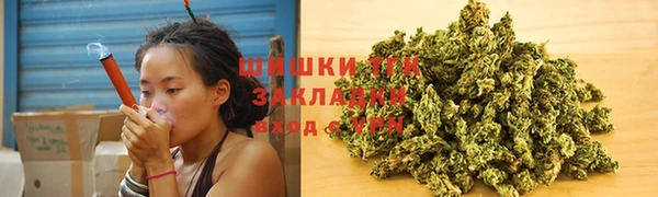 винт Осинники