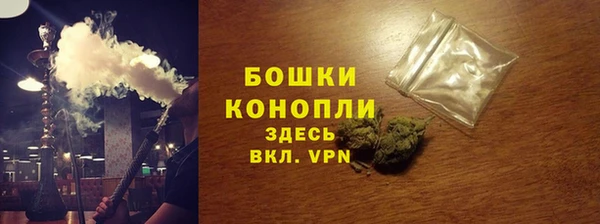 стаф Осташков
