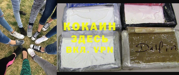 стаф Осташков