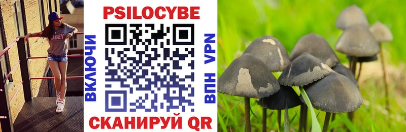 Псилоцибиновые грибы GOLDEN TEACHER  darknet формула  Лабинск  хочу  