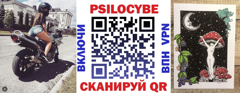 Галлюциногенные грибы Psilocybe Лабинск