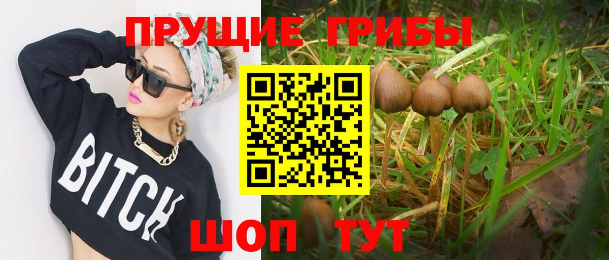 Лабинск  Марихуана  Вход с VPN  Кокаин  ГАШ  Меф кристаллы  АМФЕТАМИН кристаллы  Экстази 