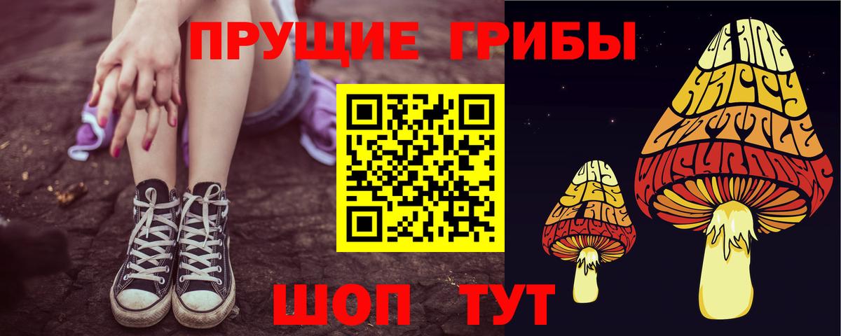 Лабинск  Галлюциногенные грибы Cubensis  Вход с VPN 
