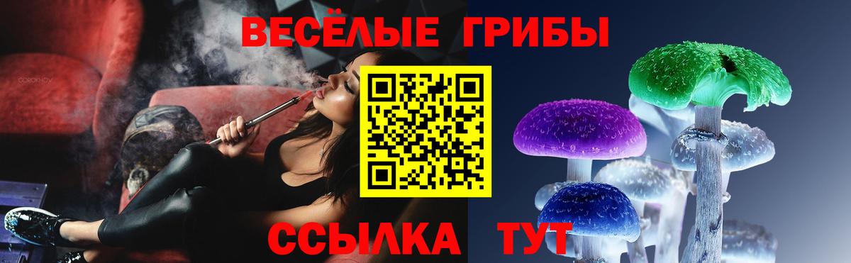 Галлюциногенные грибы Psilocybe Лабинск